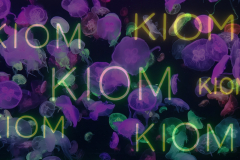Kiom